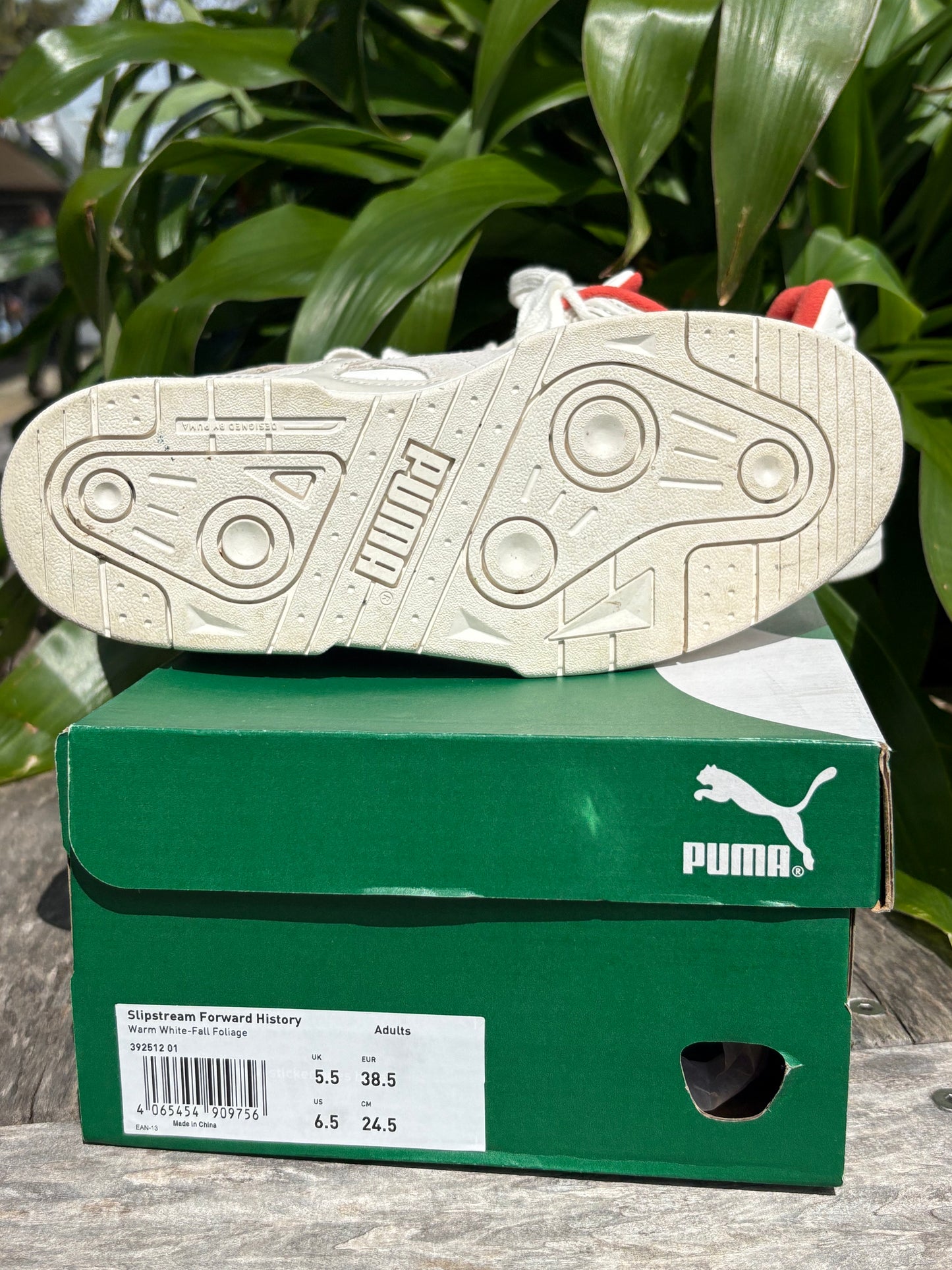 Sneakers Puma