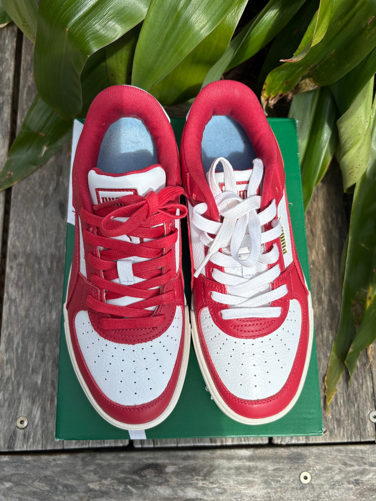 Sneakers Puma NEW