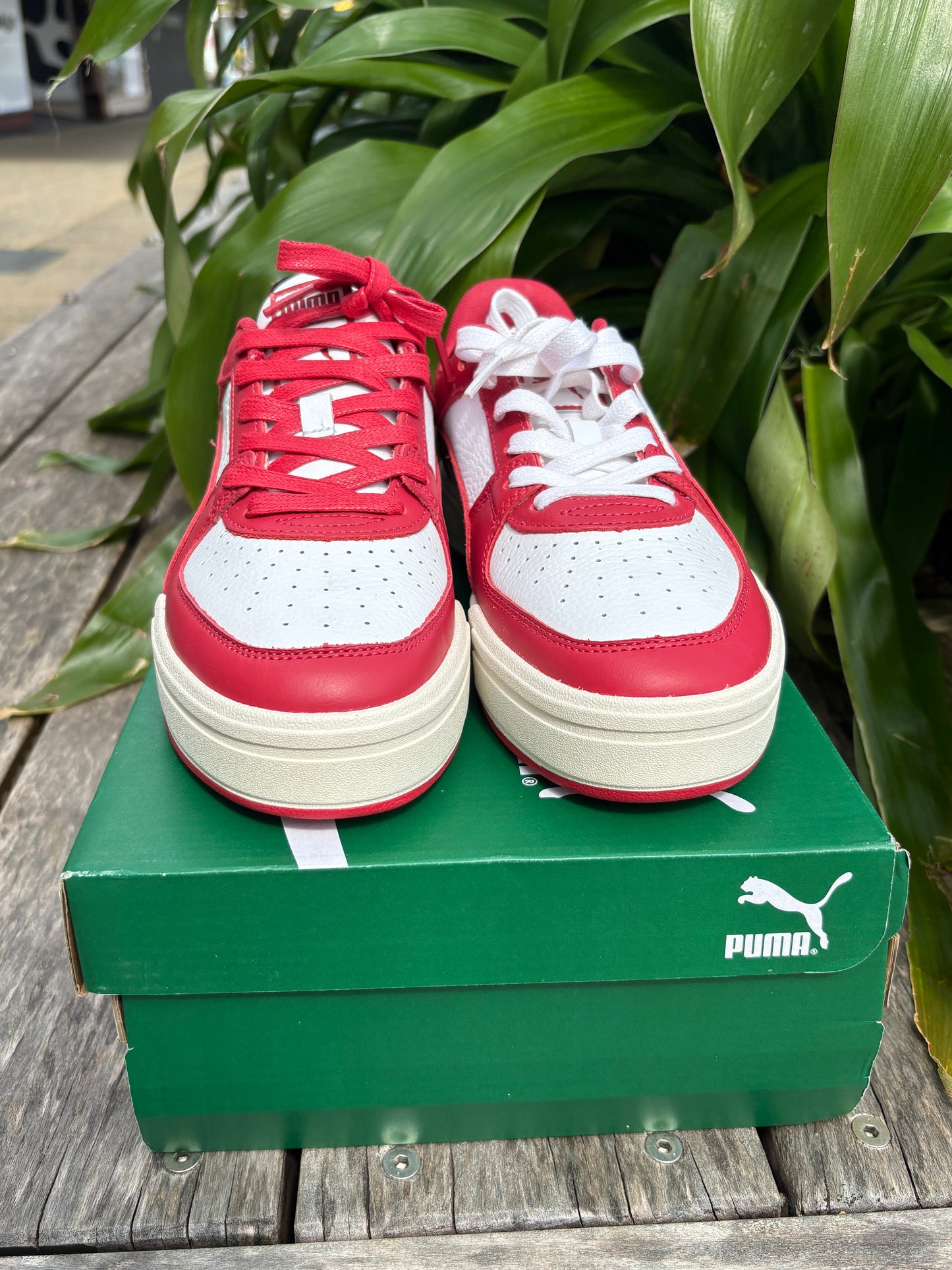 Sneakers Puma NEW