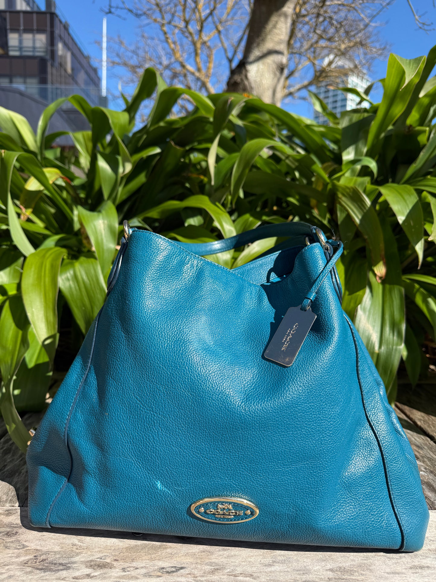 Turquoise Coach