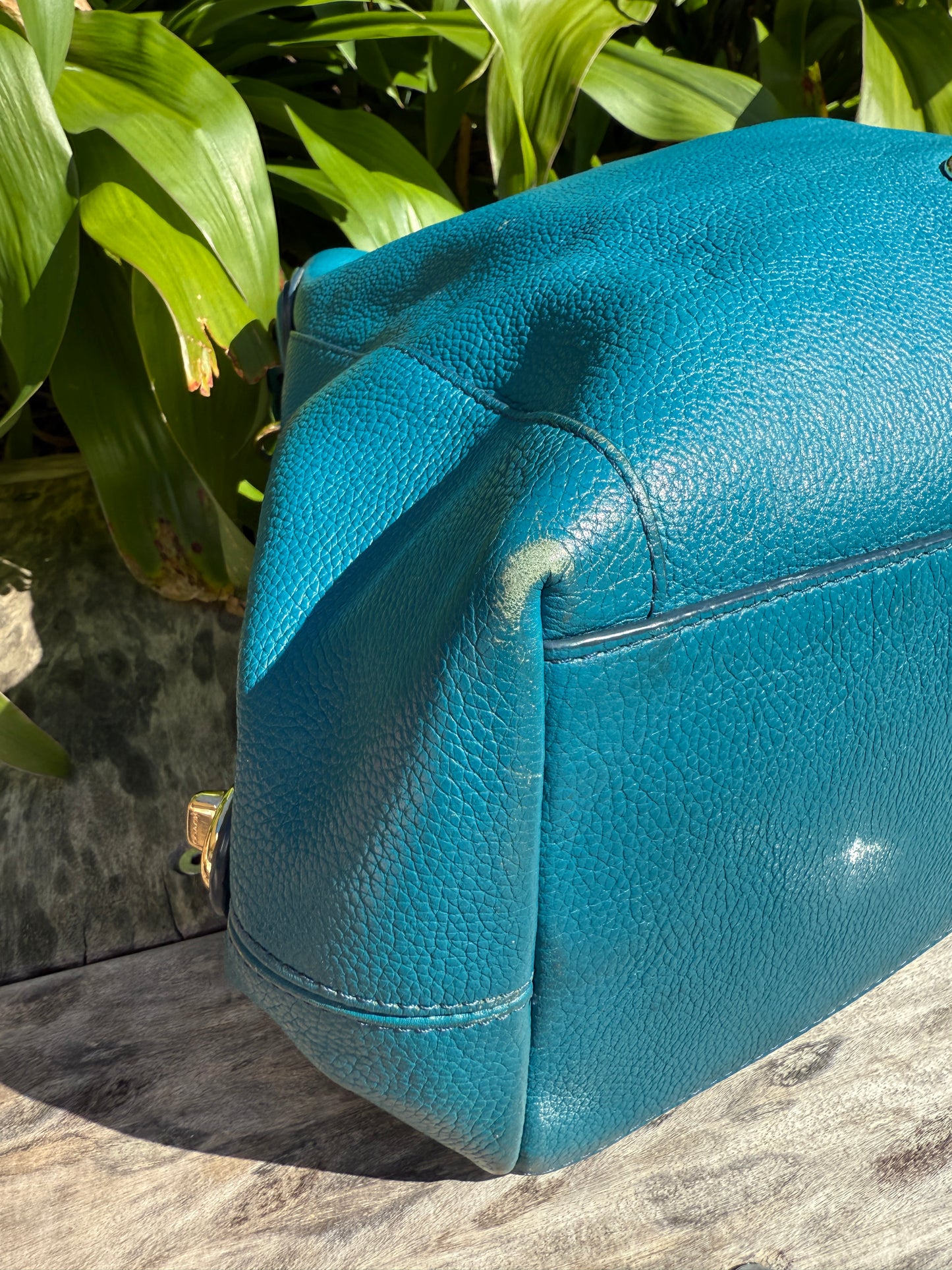 Turquoise Coach