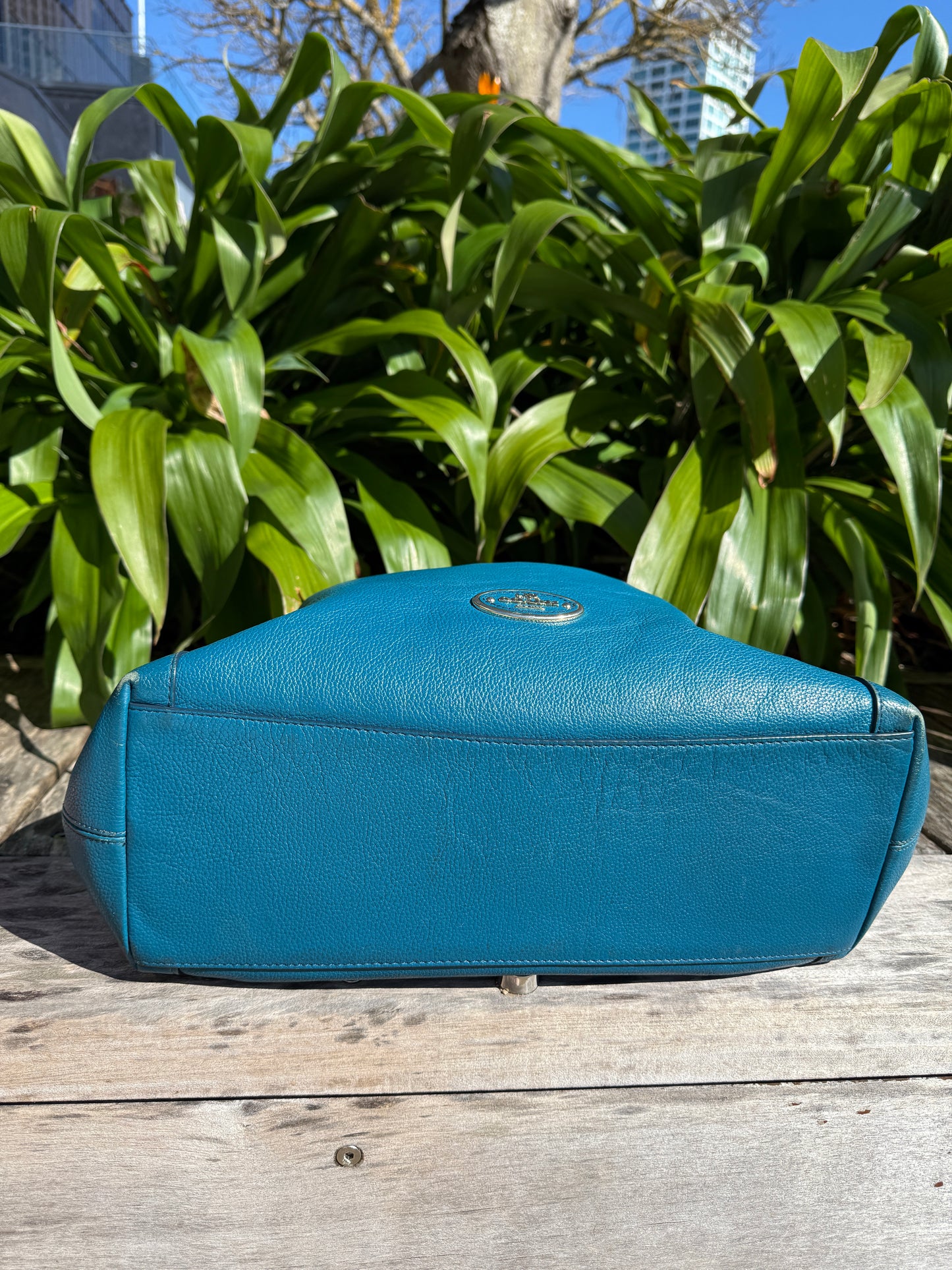 Turquoise Coach