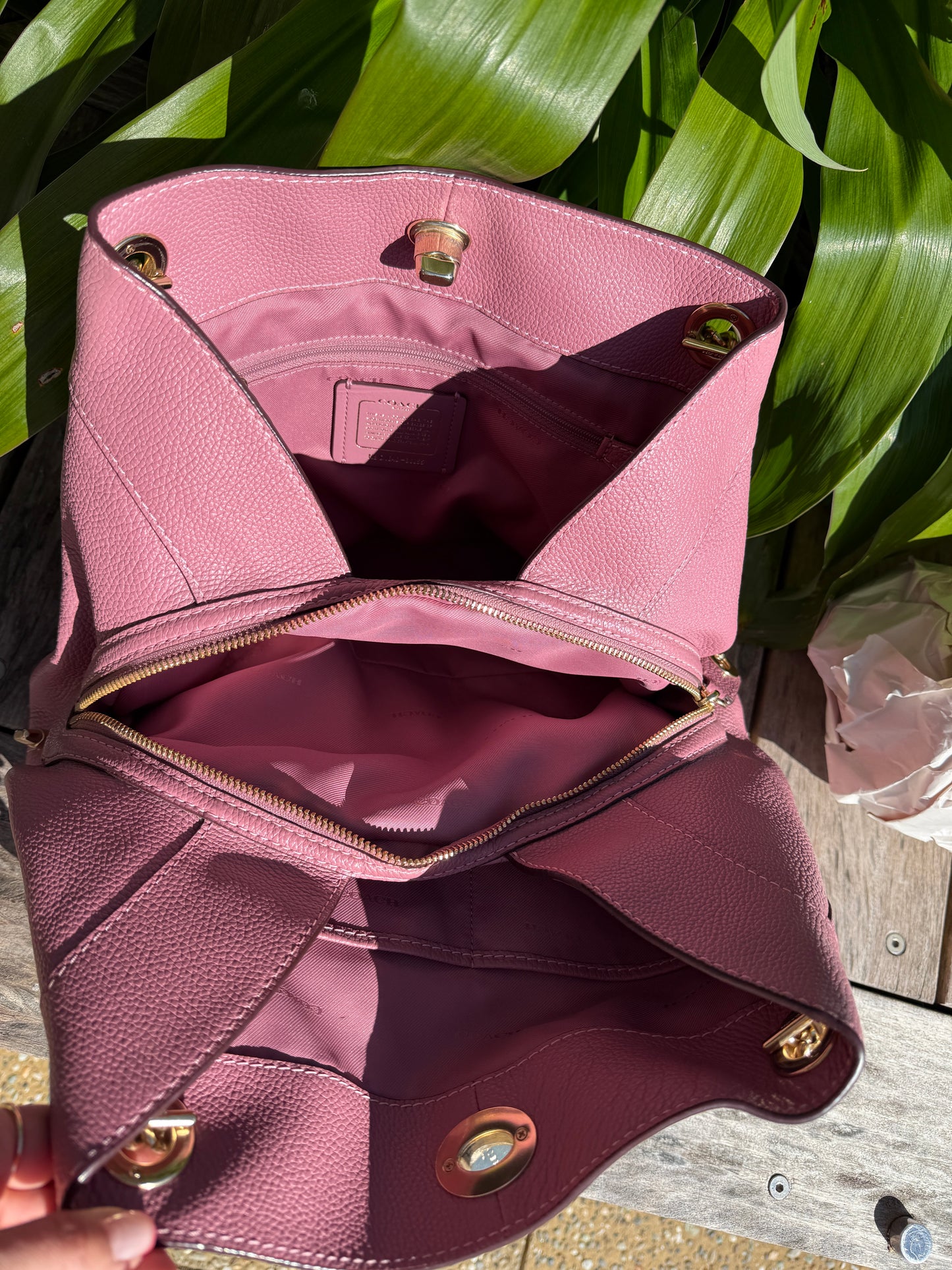 Pink Lady