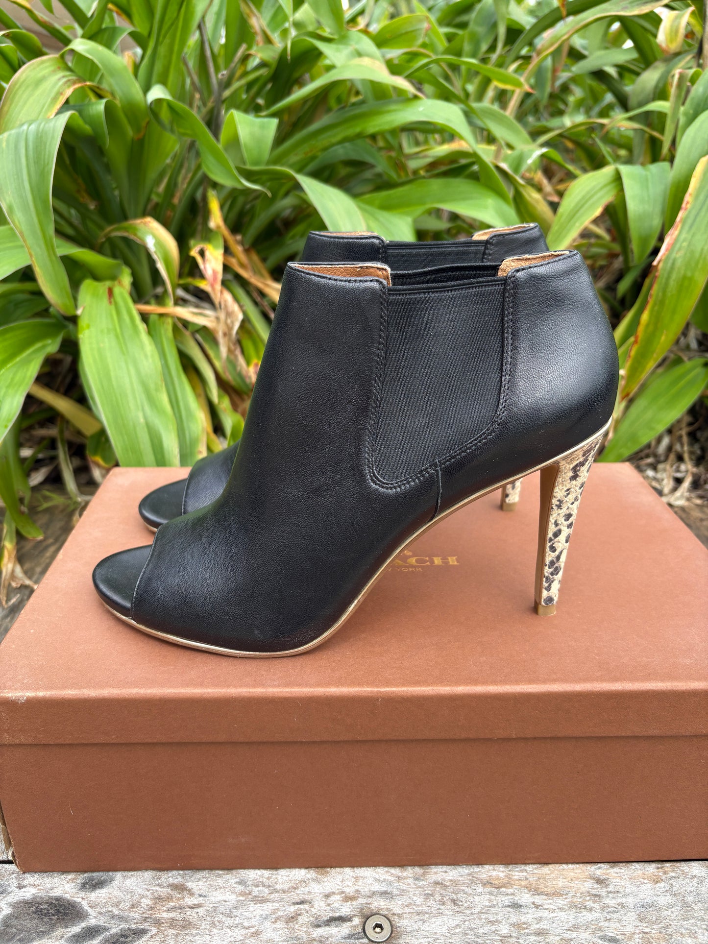 Coach Short Boots