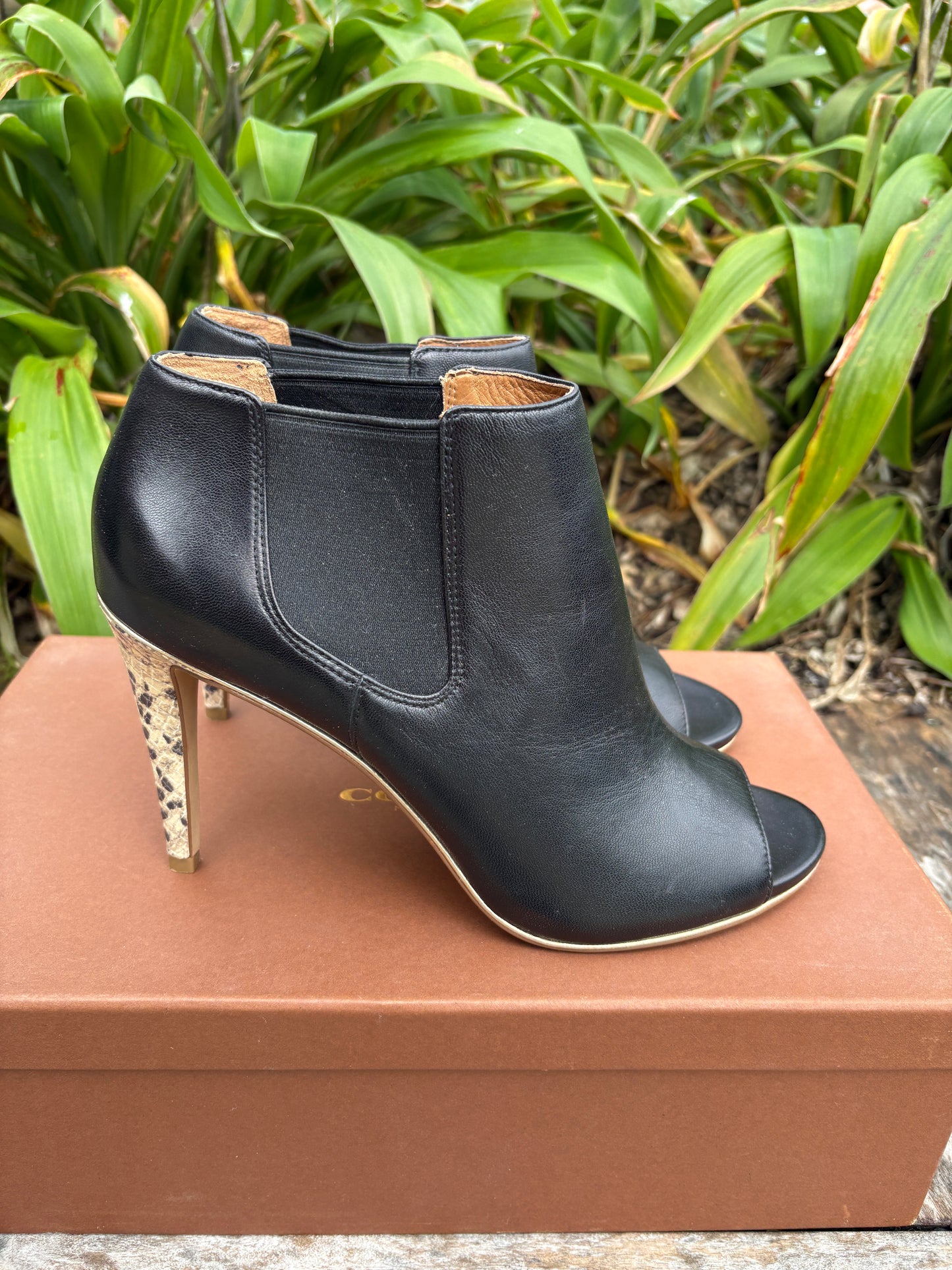 Coach Short Boots