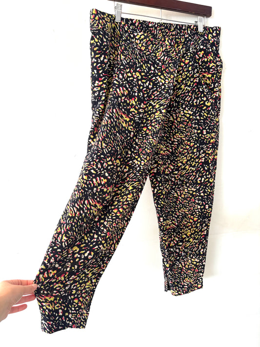 Sass and Bide  Pants