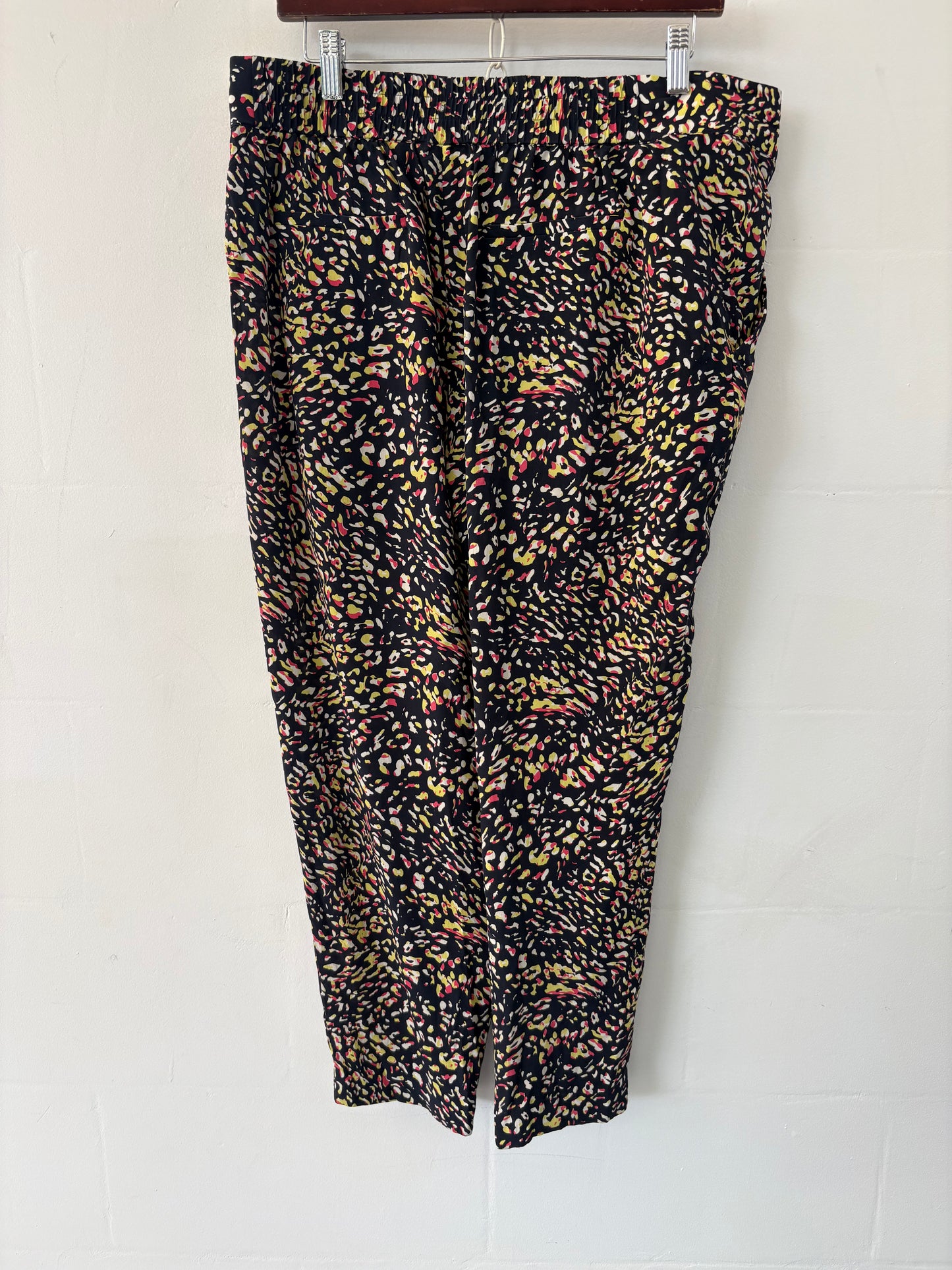 Sass and Bide  Pants
