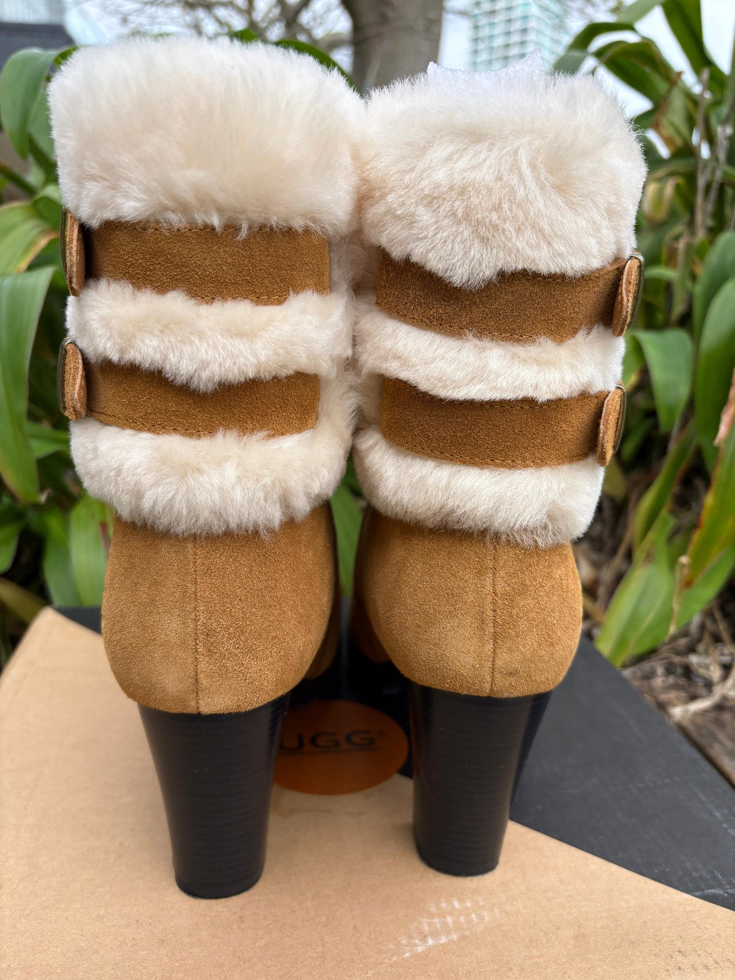 UGG Boots Short NEW