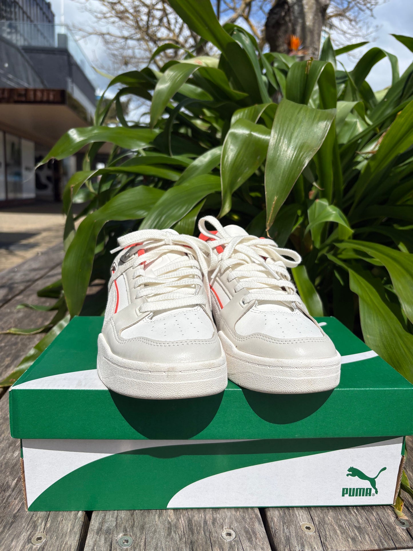 Sneakers Puma