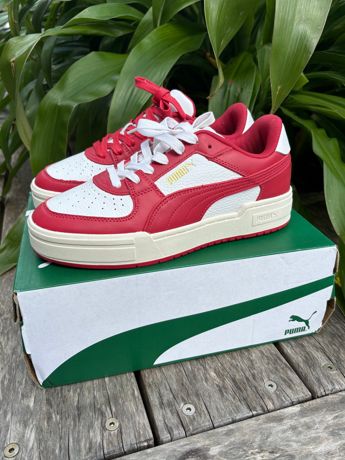 Sneakers Puma NEW