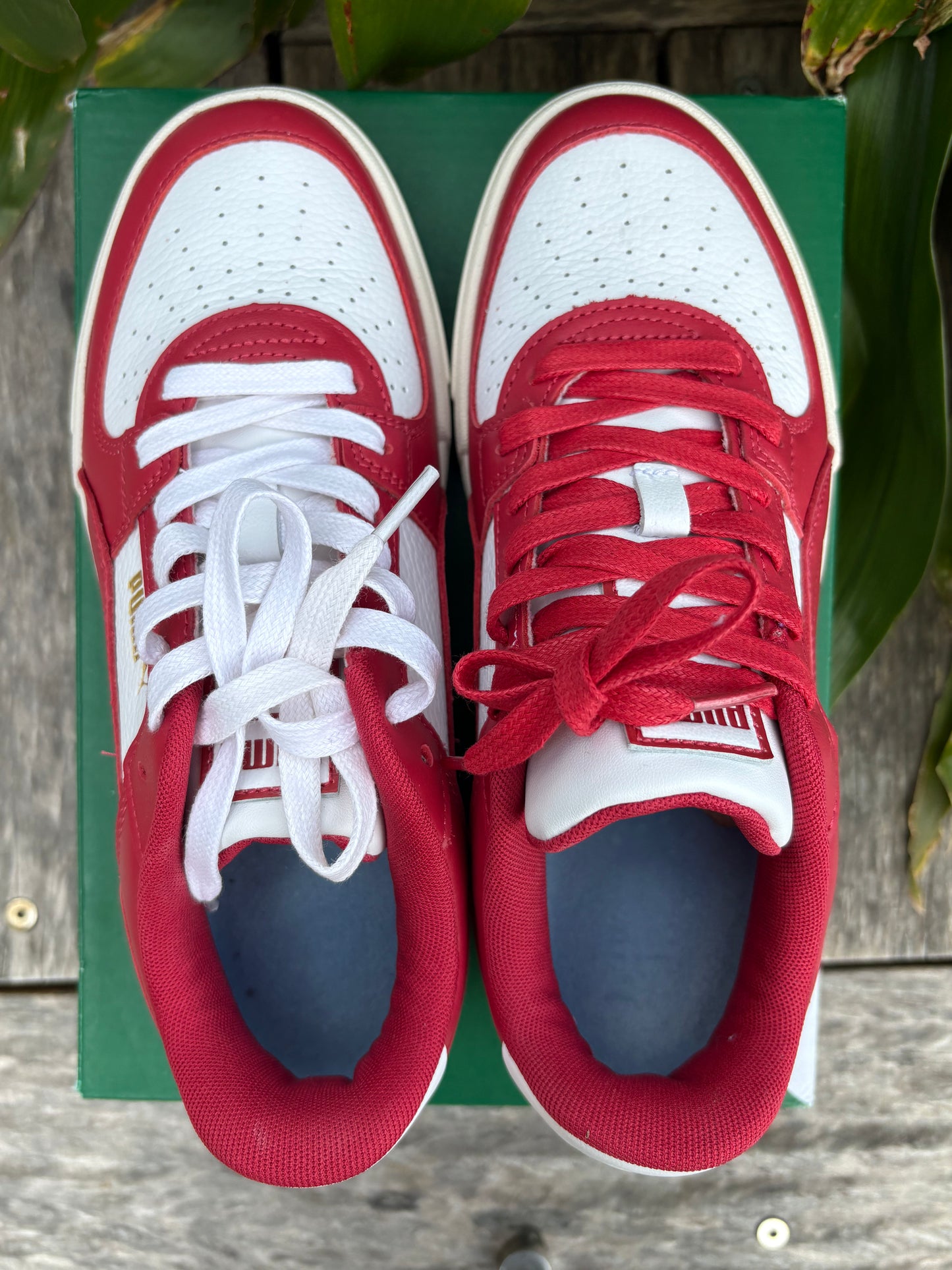 Sneakers Puma NEW