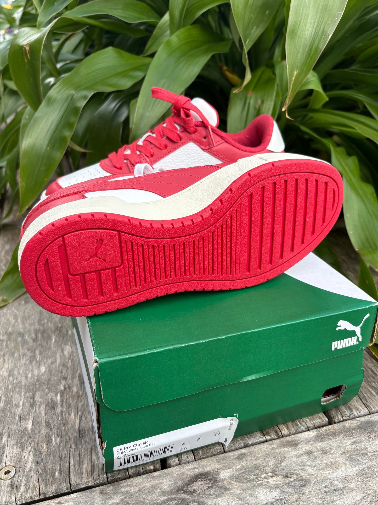 Sneakers Puma NEW