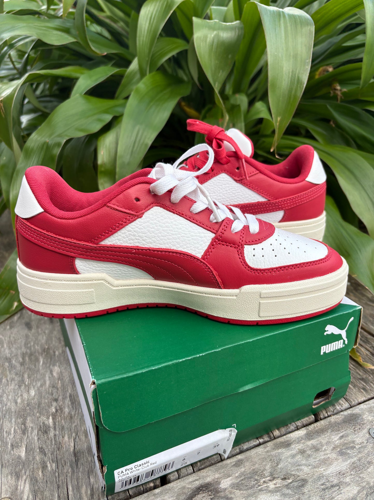 Sneakers Puma NEW