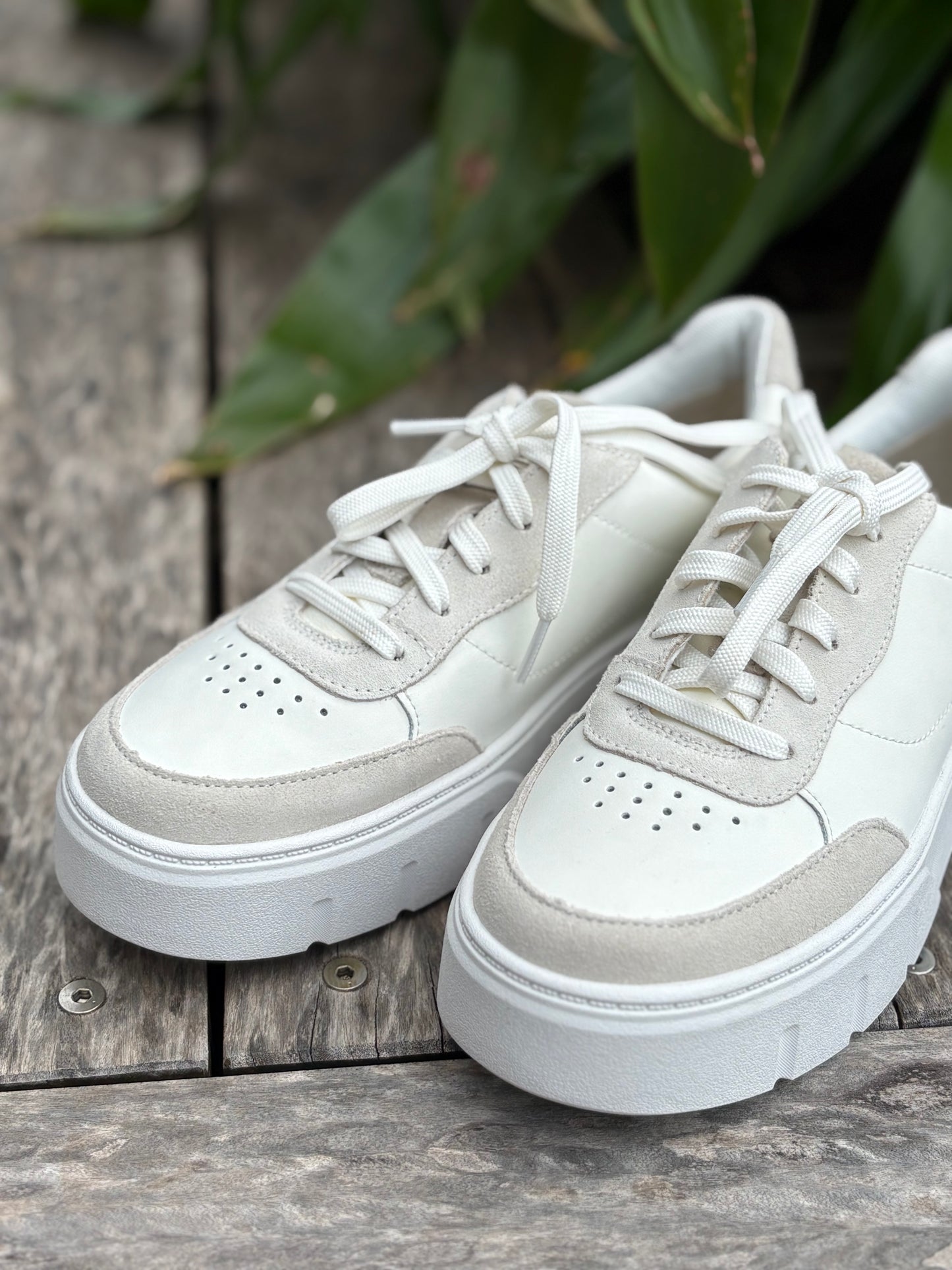 Sneakers Timberlands