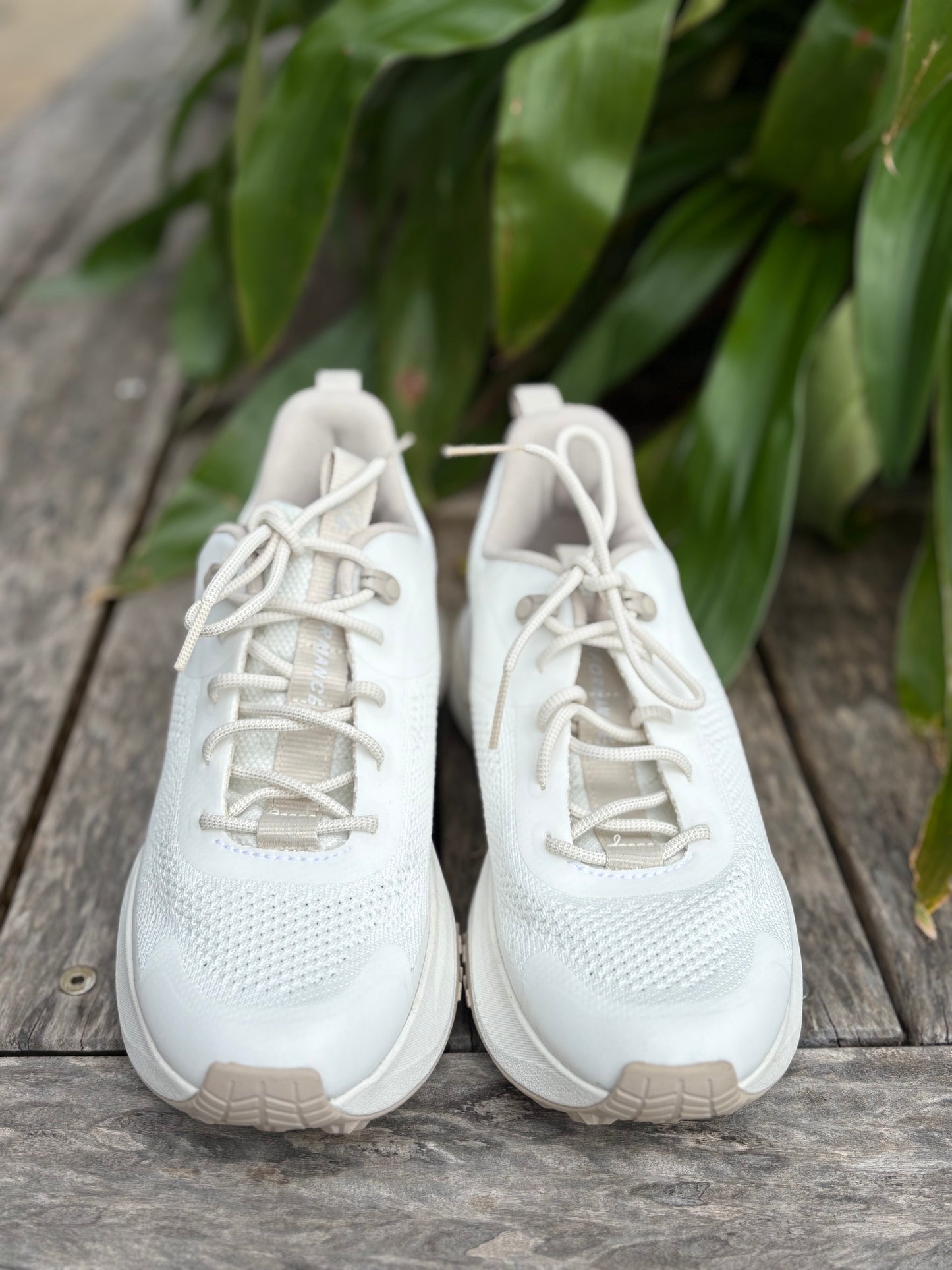 Sneakers Timberlands