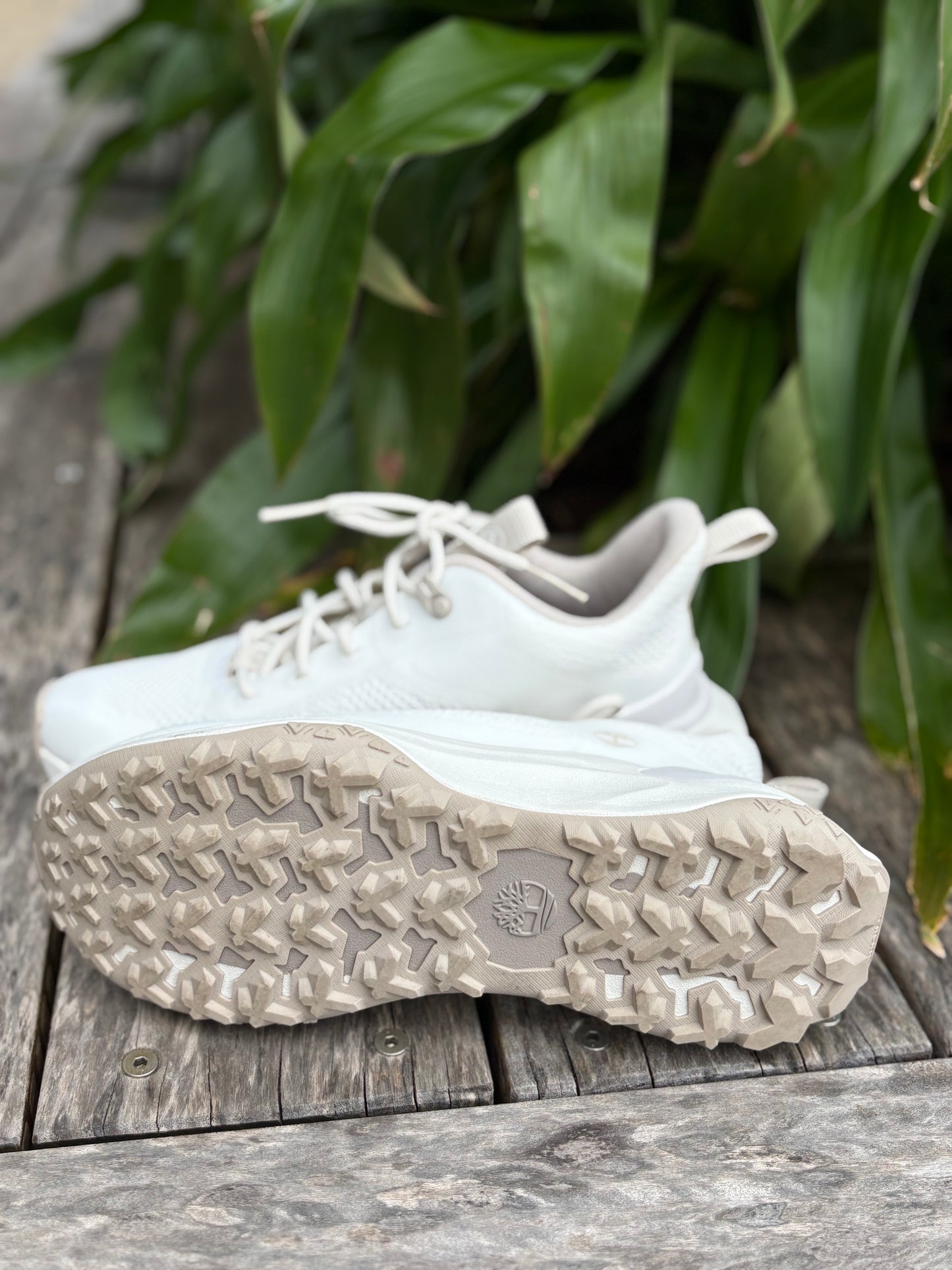 Sneakers Timberlands