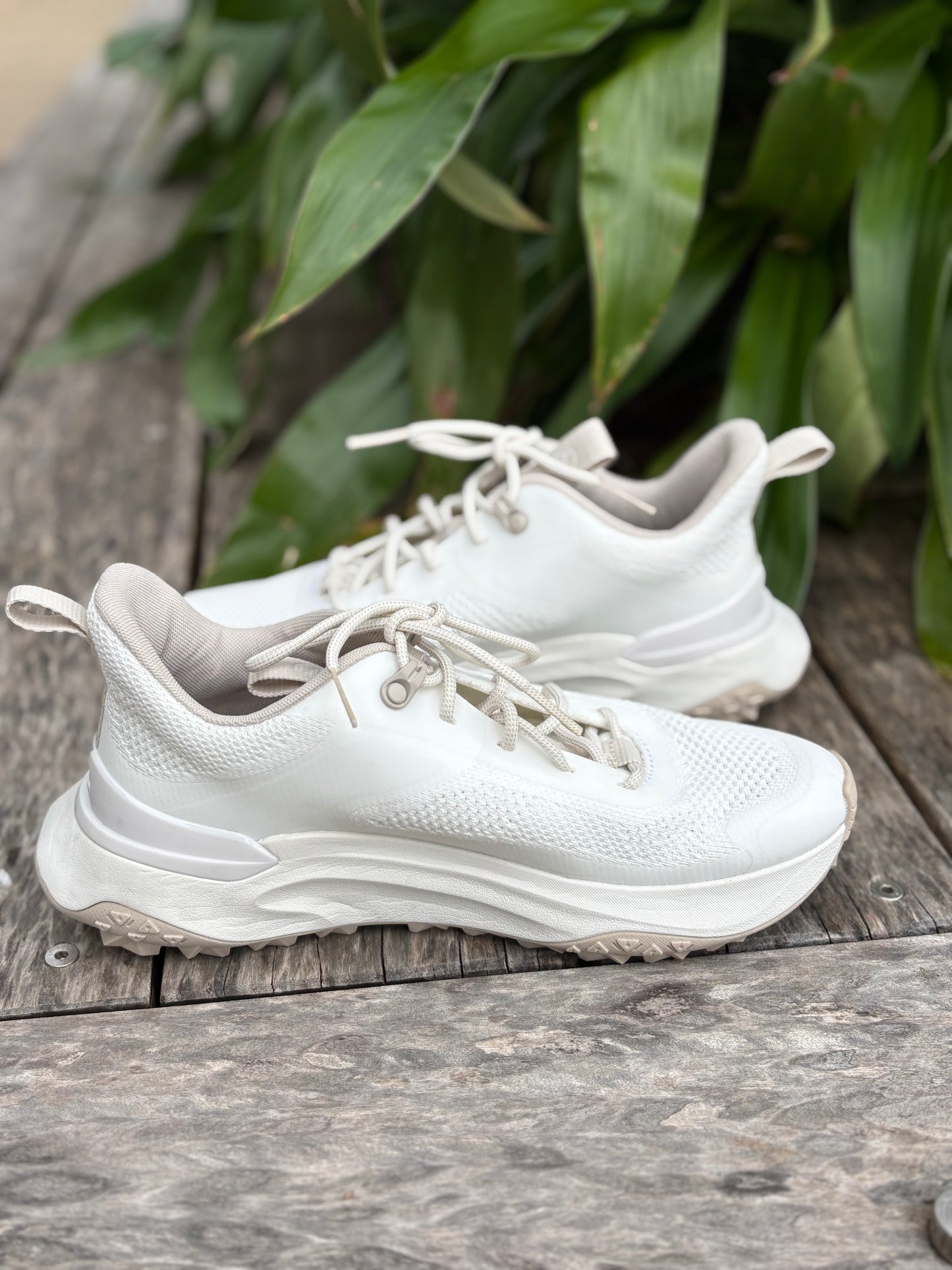 Sneakers Timberlands