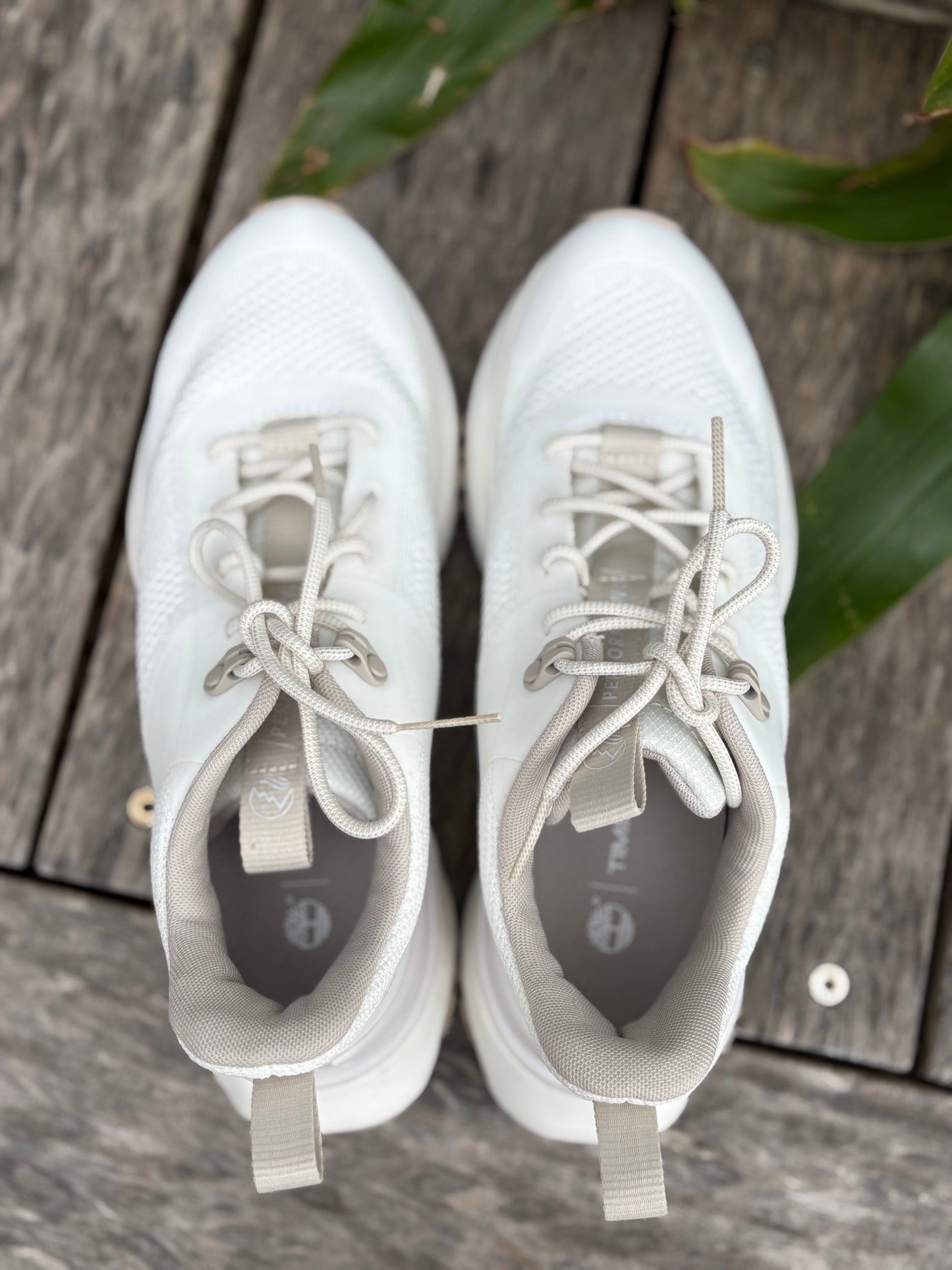 Sneakers Timberlands
