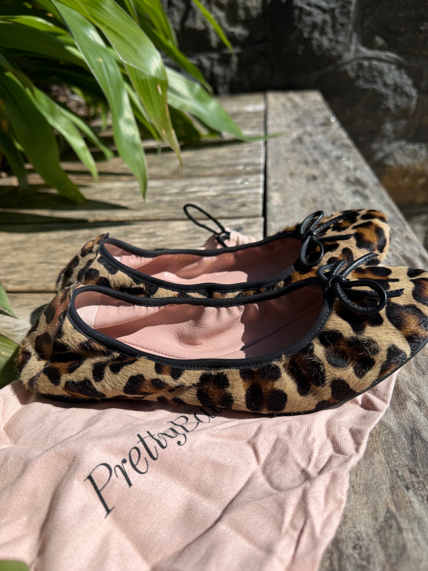 Pretty Ballerina's
