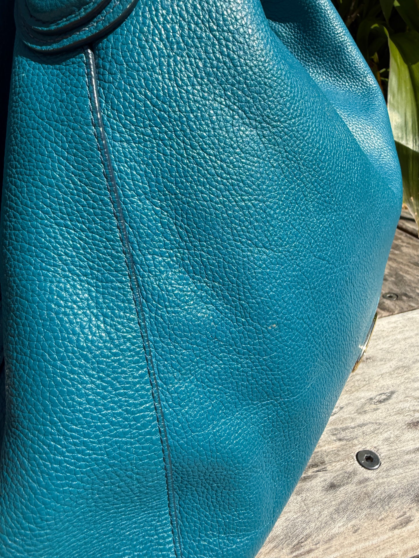 Turquoise Coach