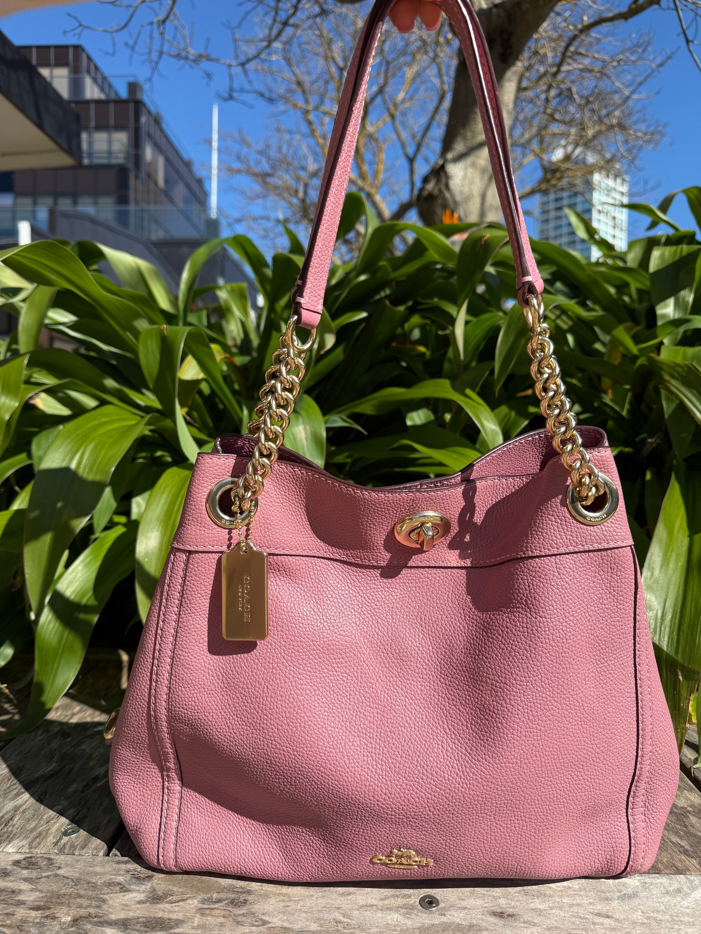 Pink Lady
