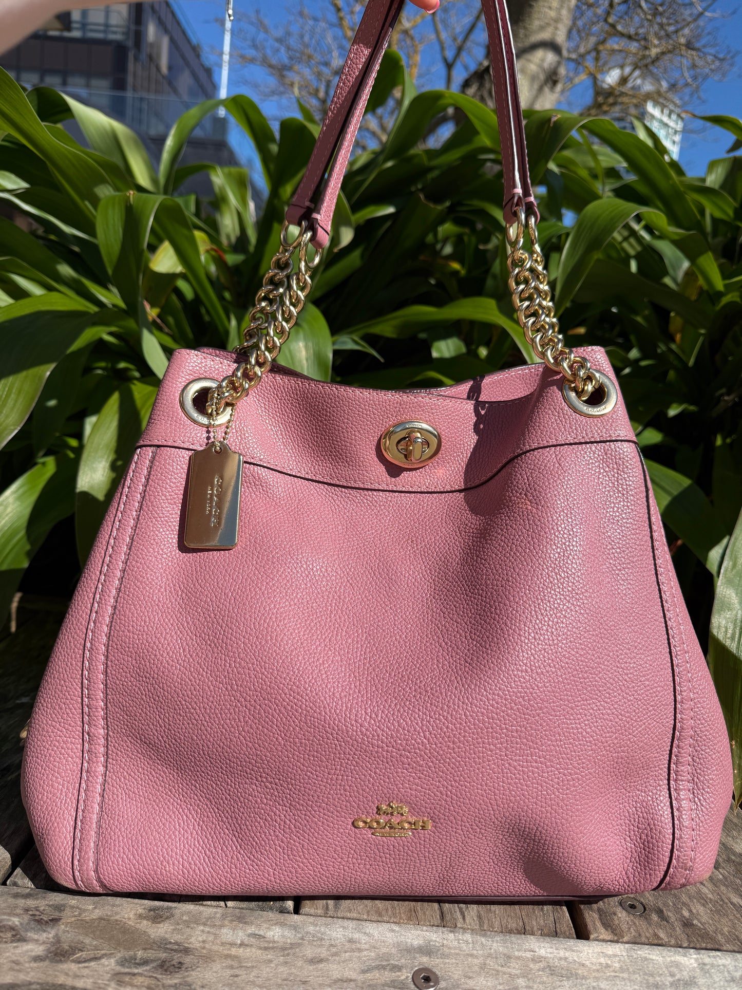 Pink Lady