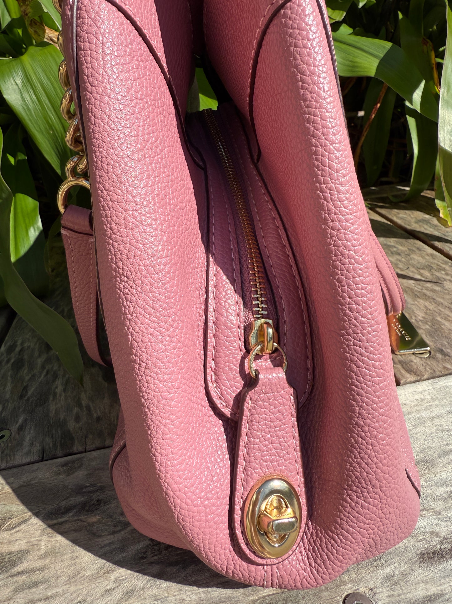 Pink Lady