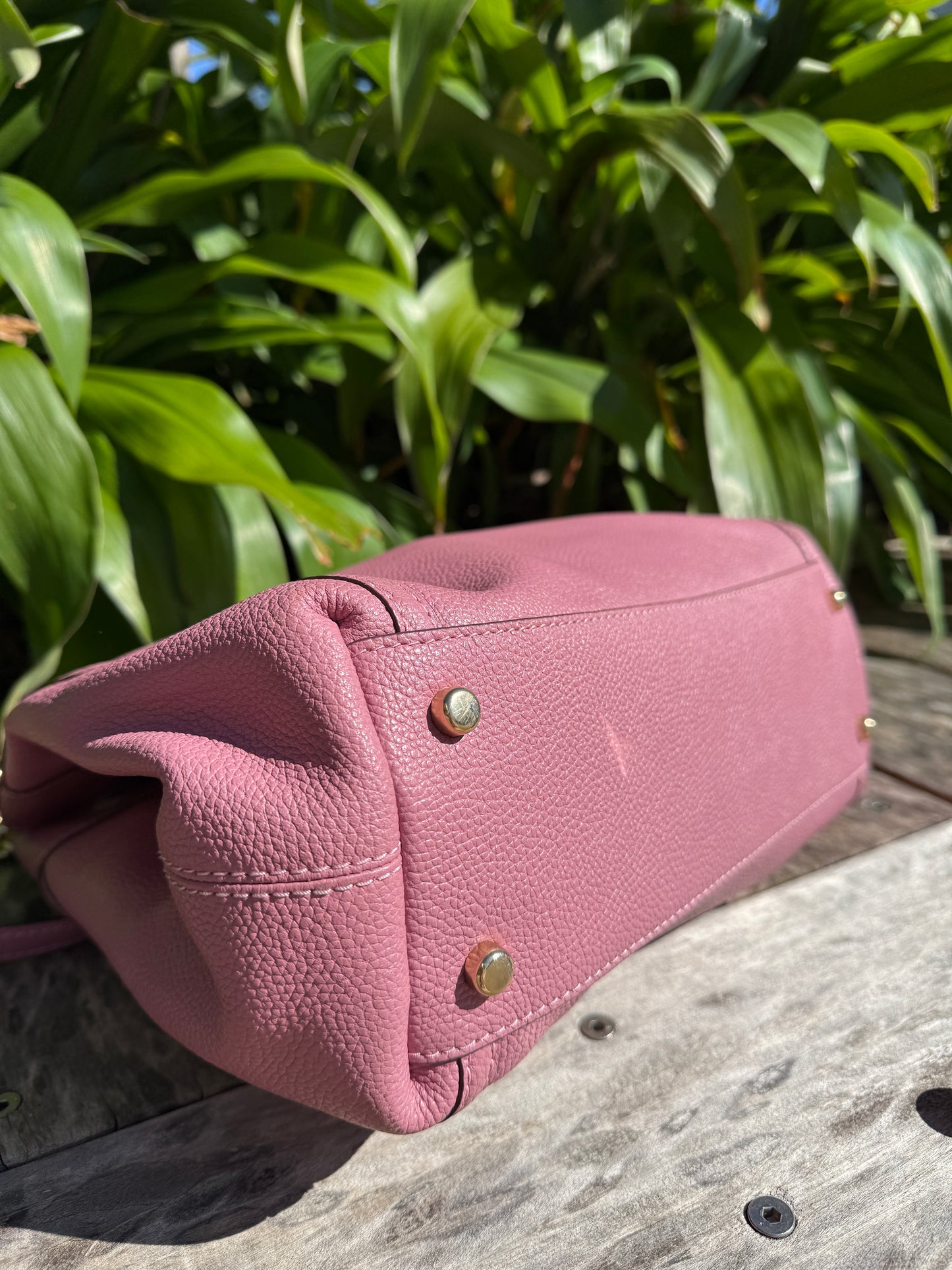 Pink Lady