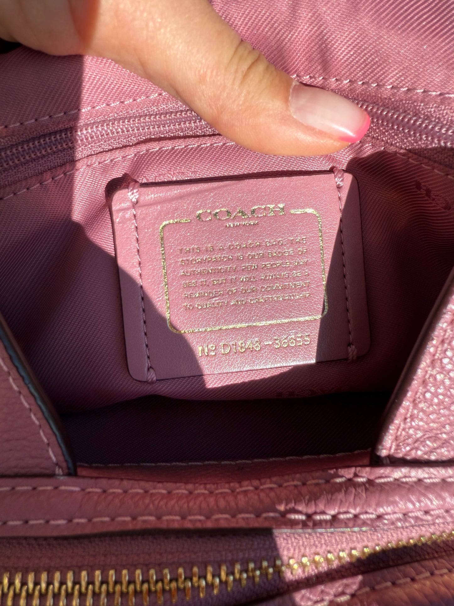Pink Lady