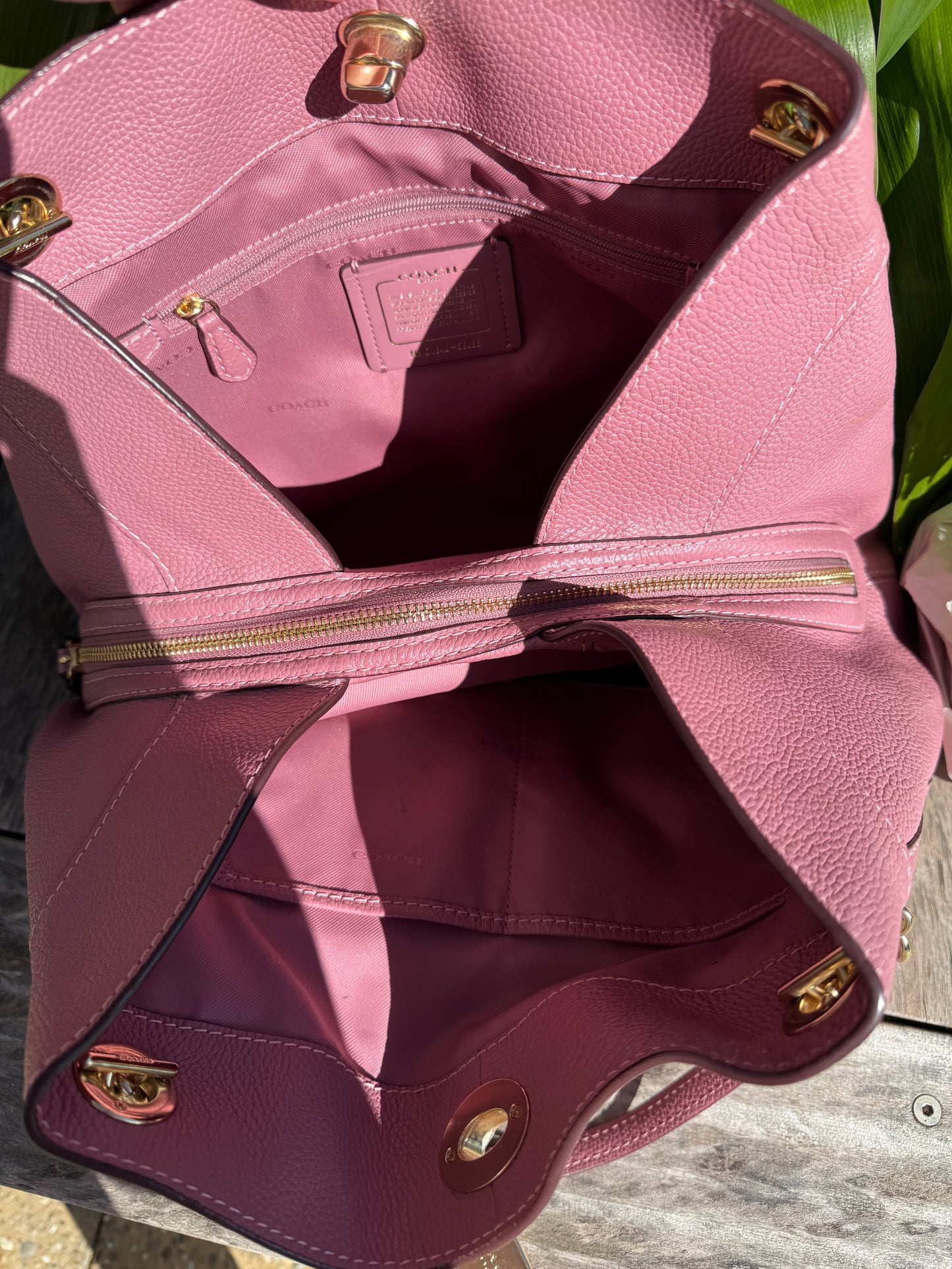 Pink Lady
