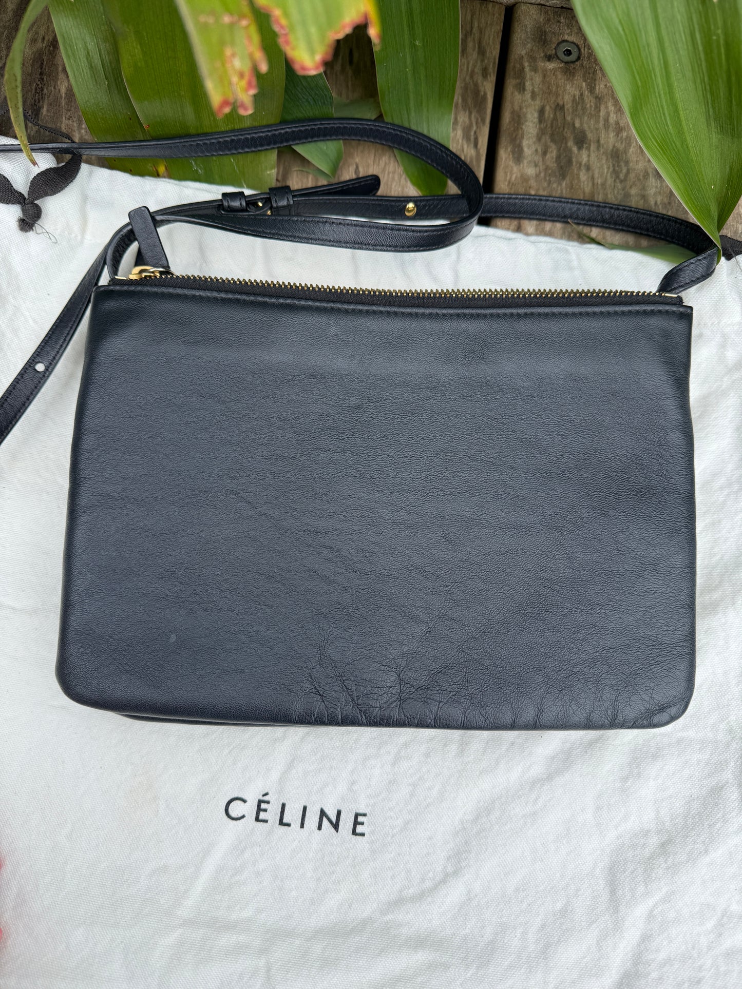 Celine Trio