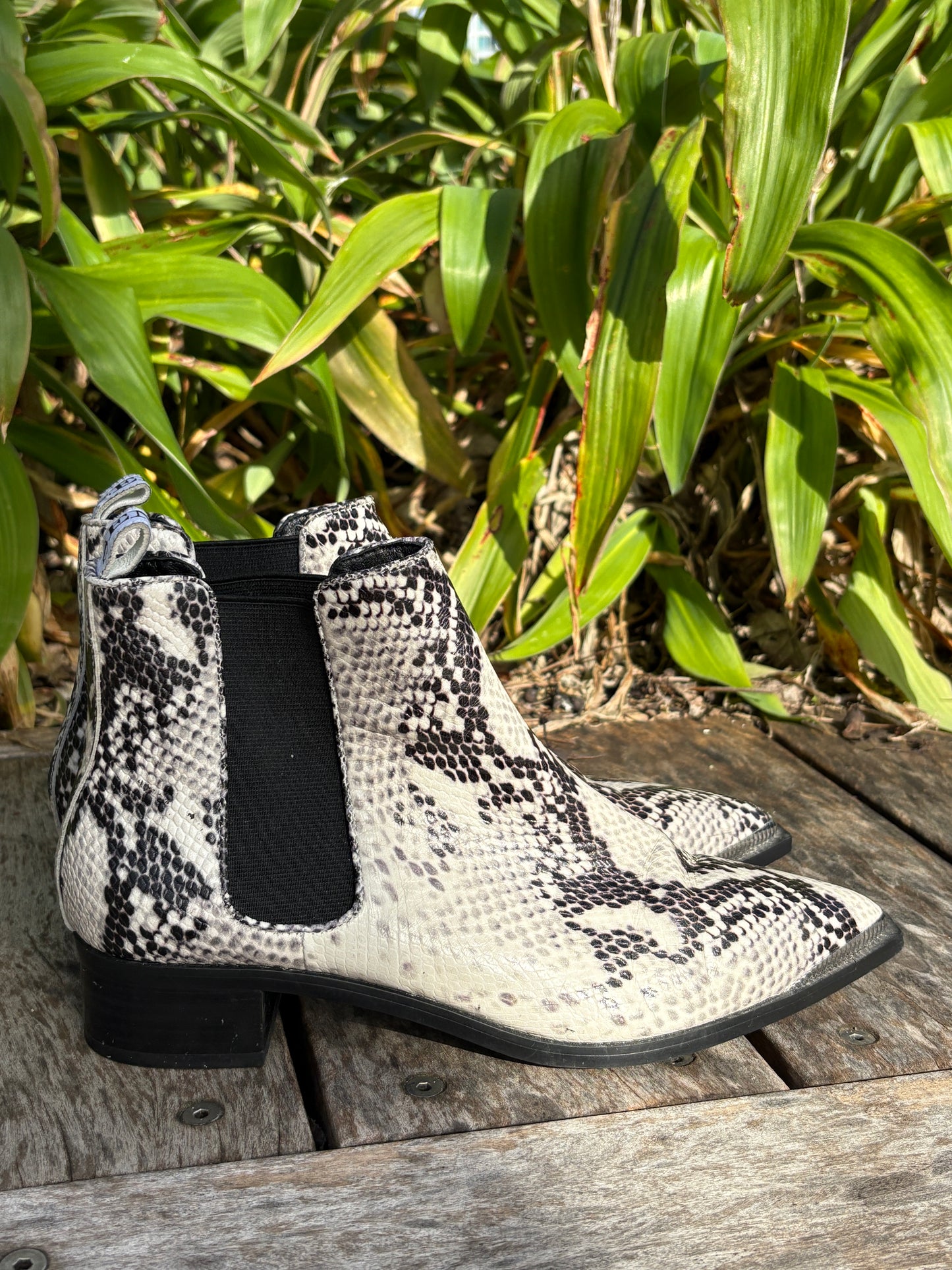 Boots Short Senso