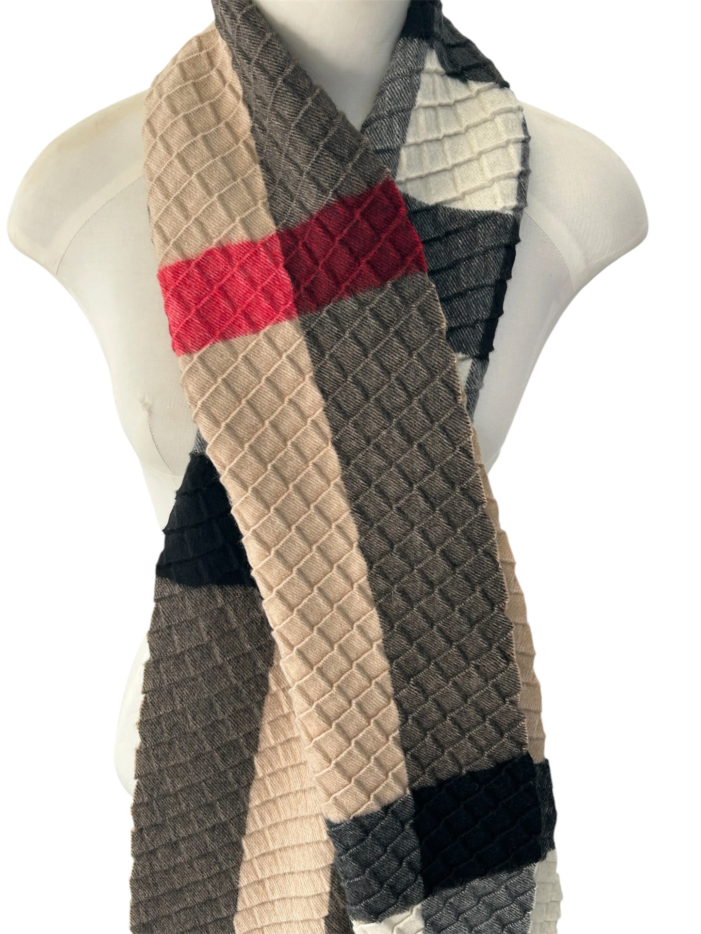Burberry Scarf