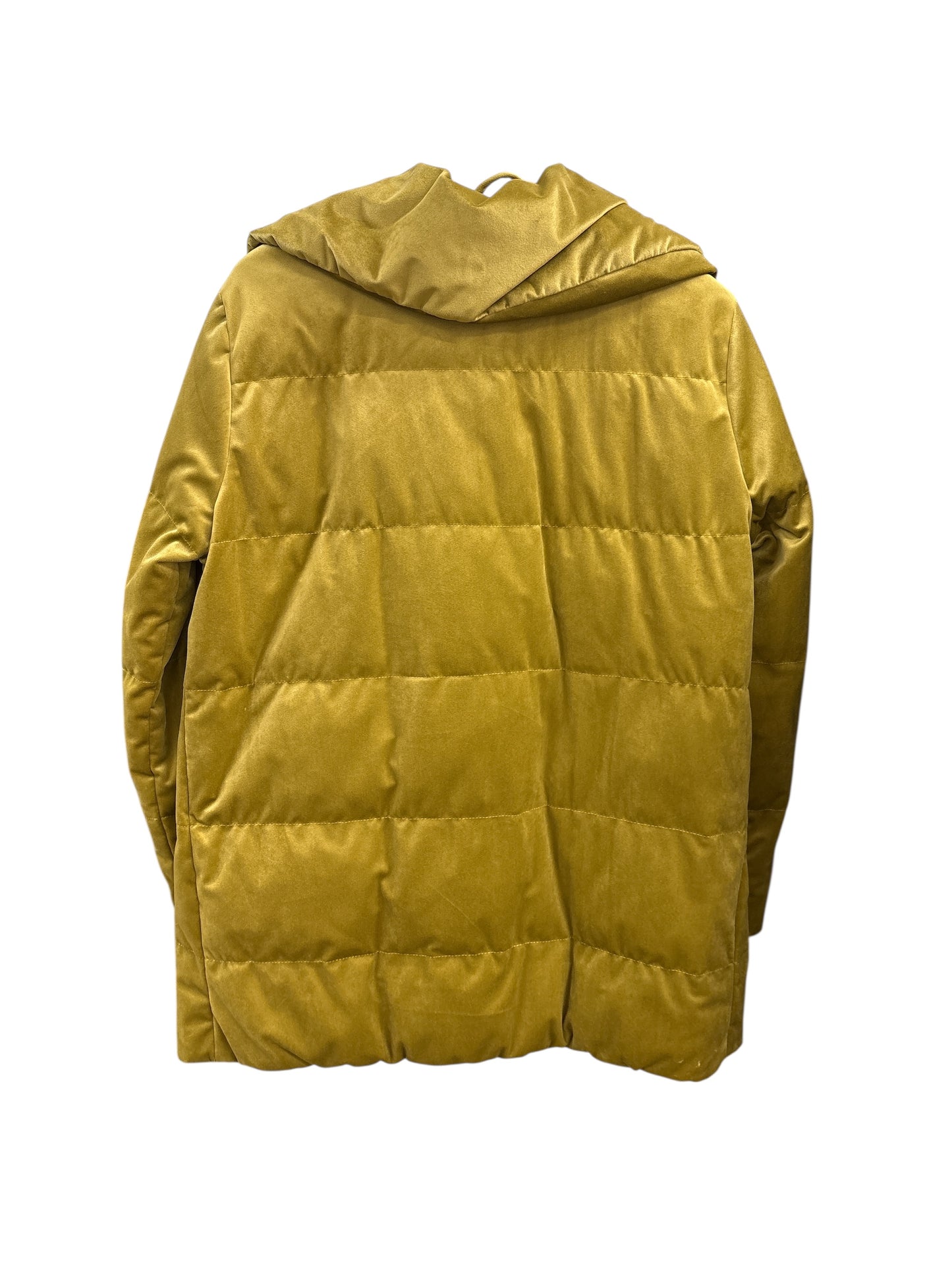 Jacket Verge
