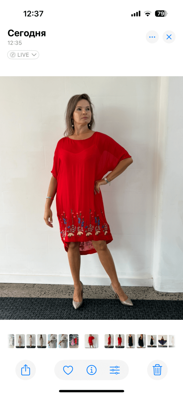 Curate Trelise Cooper Dress