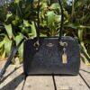 Etta Carryall